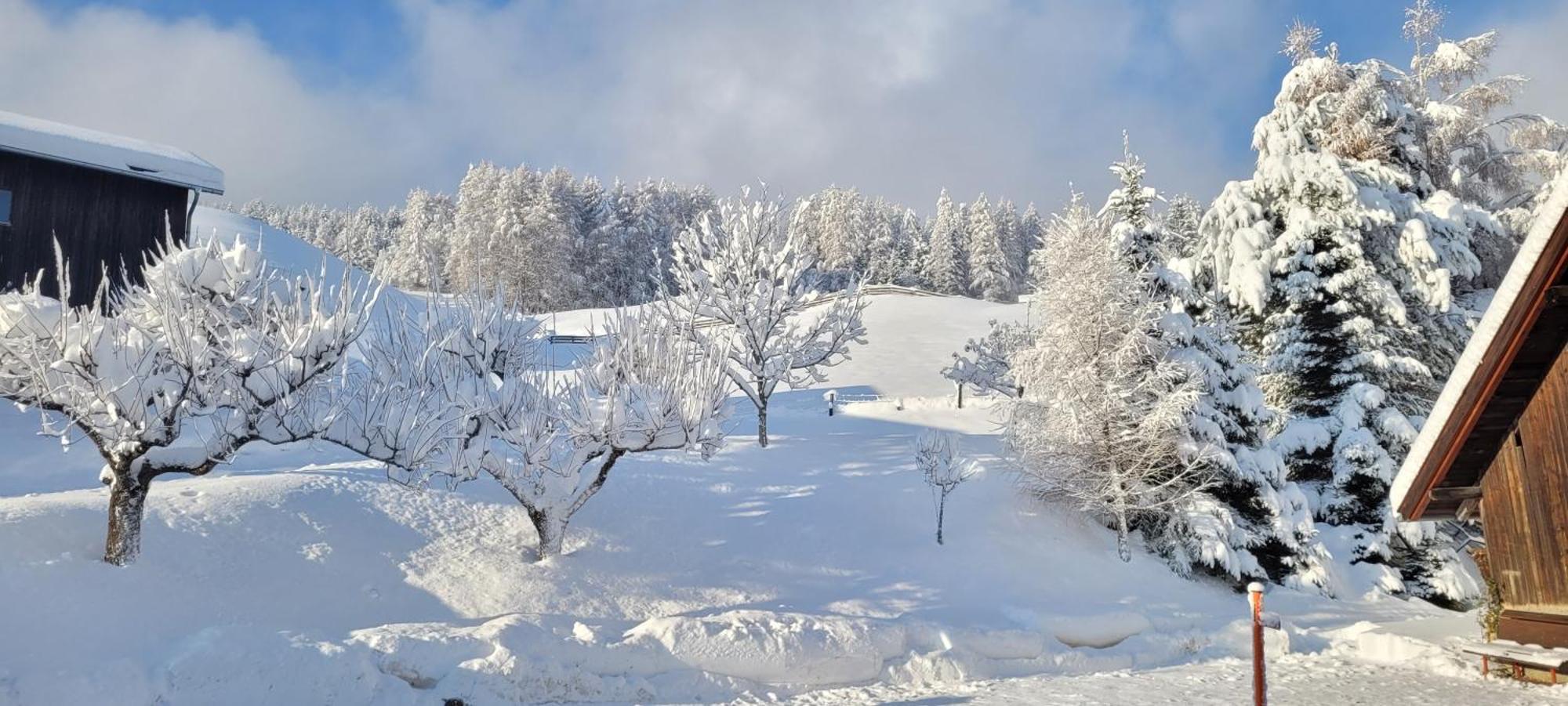 Ferienhaus Panorama Mutters Εξωτερικό φωτογραφία